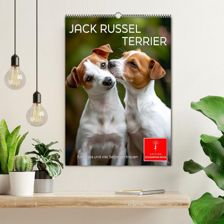 Produktbild: Jack Russel Terrier - furchtlos und viel Selbstvertrauen (Wandkalender 2026 DIN A2 hoch), CALVENDO Monatskalender