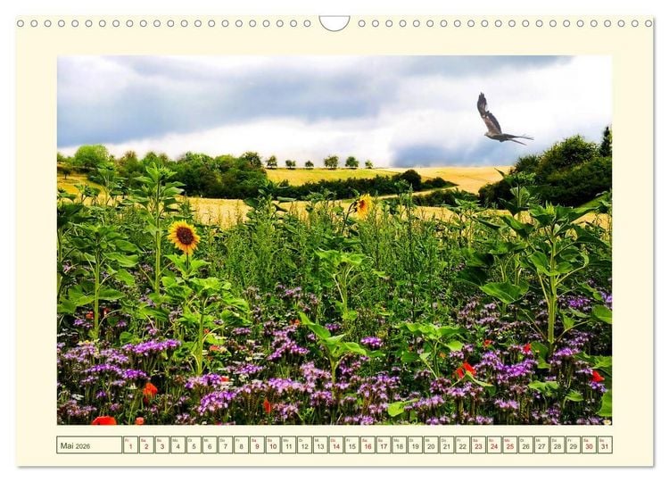 Produktbild: Mein sch&ouml;nes Land - Landliebe Wetterau (Wandkalender 2026 DIN A3 quer), CALVENDO Monatskalender