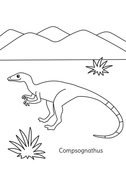 Produktbild: Mein Malblock: Dinosaurier