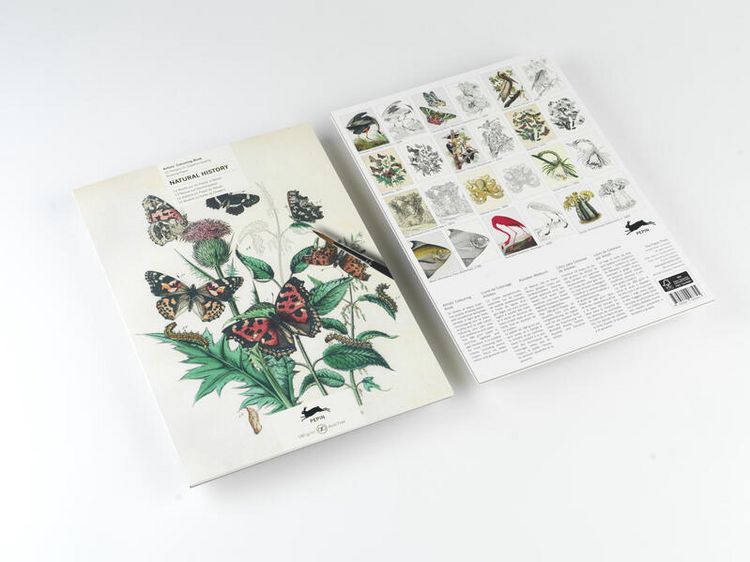 Produktbild: Natural History