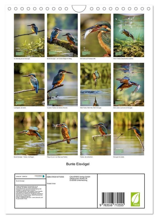 Produktbild: Bunte Eisv&ouml;gel (Wandkalender 2027 DIN A4 hoch), CALVENDO Monatskalender