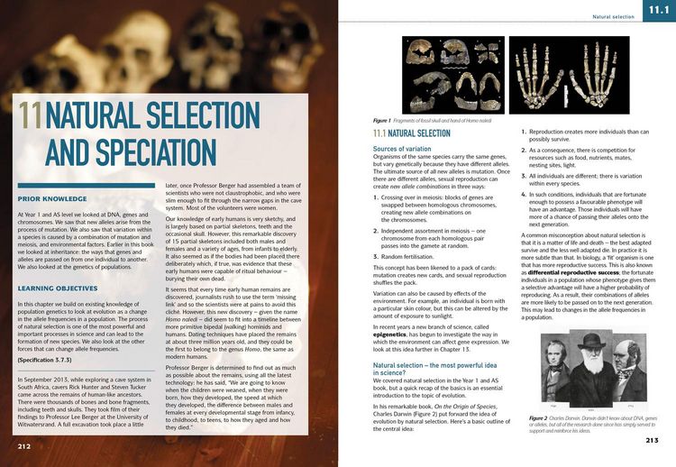 Produktbild: AQA A Level Biology Year 2 Student Book