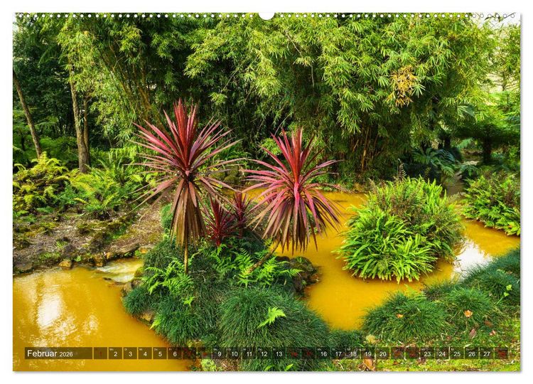 Produktbild: Terra Nostra Garten - ein botanisches Juwel auf den Azoren (Wandkalender 2026 DIN A2 quer), CALVENDO Monatskalender