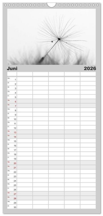 Produktbild: Familienplaner 2026 - Pusteblume - Impressionen in schwarzwei&szlig; mit 5 Spalten (Wandkalender, 21 x 45 cm) CALVENDO