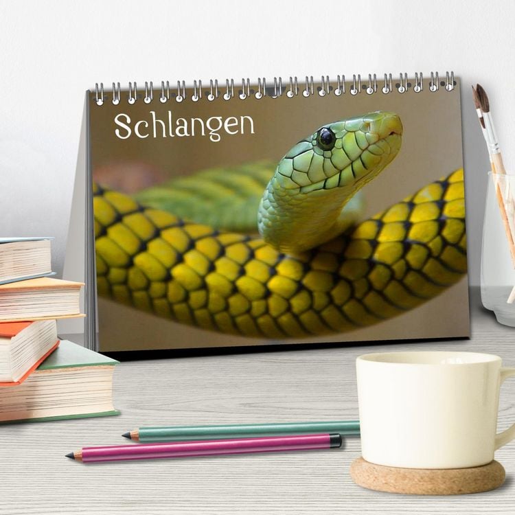 Produktbild: Schlangen (Tischkalender 2026 DIN A5 quer), CALVENDO Monatskalender