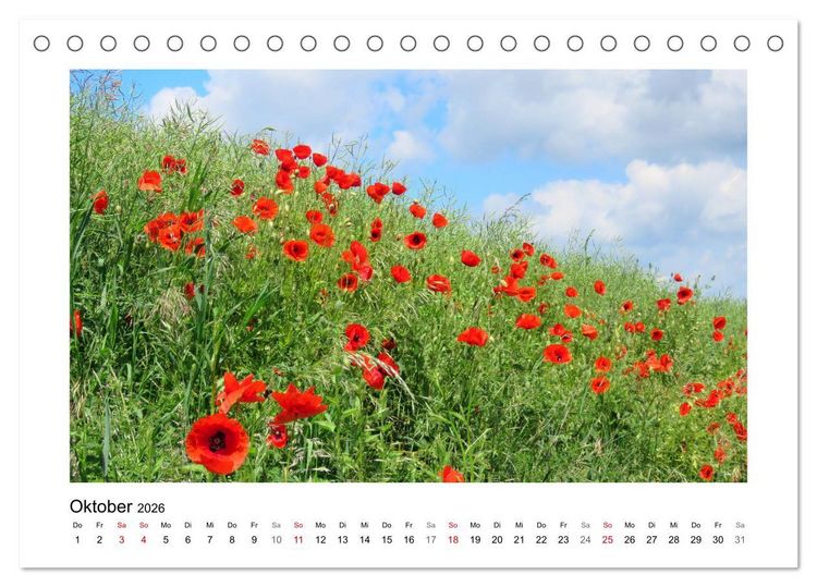 Produktbild: Mohn, zarte Bl&uuml;ten, starke Farben (Tischkalender 2026 DIN A5 quer), CALVENDO Monatskalender