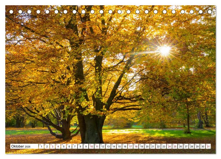 Produktbild: F&uuml;rstenfeldbruck - Streifzug durch Natur und Stadt (Tischkalender 2026 DIN A5 quer), CALVENDO Monatskalender