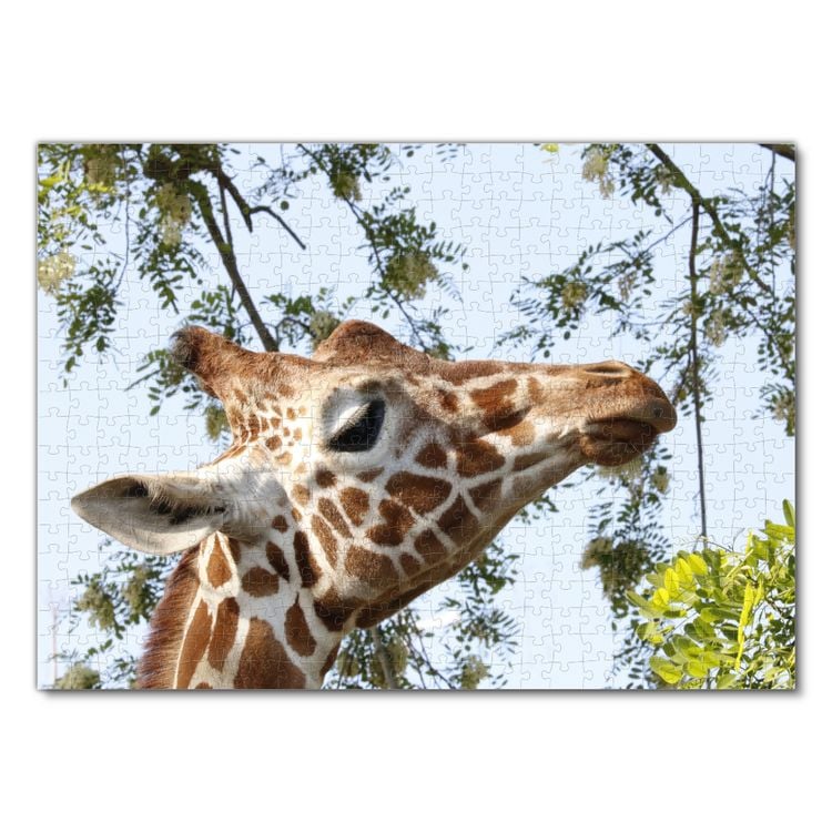 Produktbild: Lais Puzzle Giraffe 500 Teile