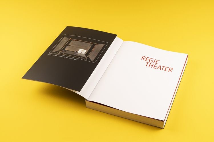 Produktbild: Regietheater. Eine deutsch-&ouml;sterreichische Geschichte