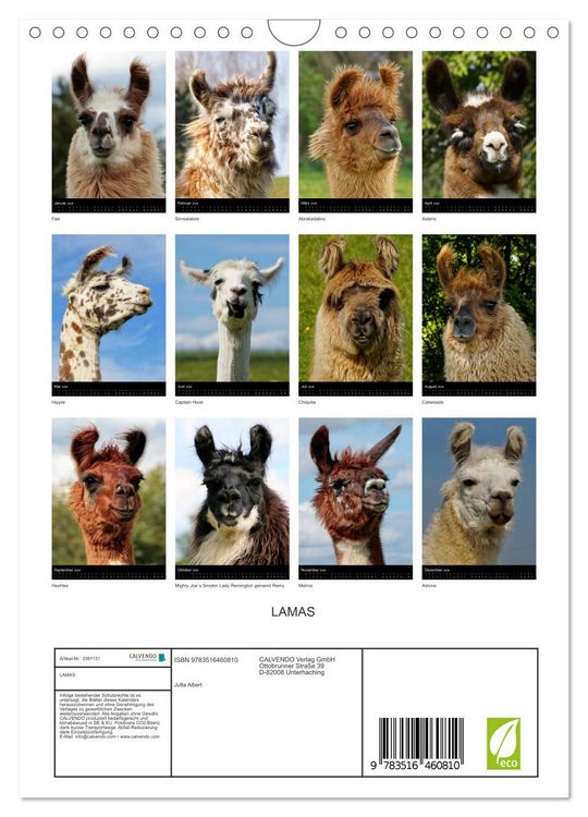 Produktbild: LAMAS (Wandkalender 2026 DIN A4 hoch), CALVENDO Monatskalender