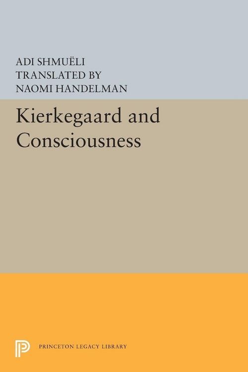 Produktbild: Kierkegaard and Consciousness