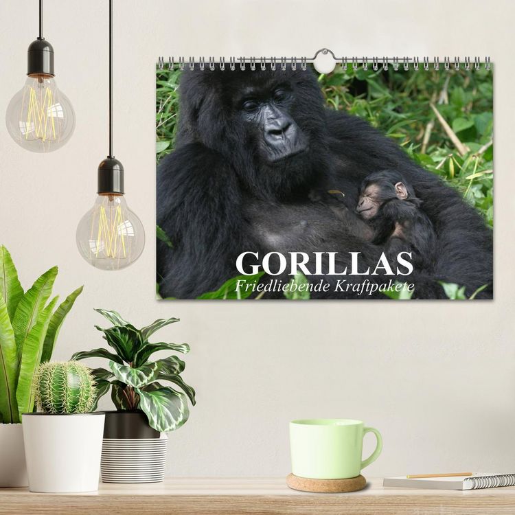 Produktbild: Gorillas. Friedliebende Kraftpakete (Wandkalender 2026 DIN A4 quer), CALVENDO Monatskalender
