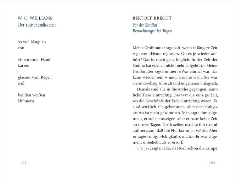 Produktbild: &raquo;Ein kleiner Regen macht nicht nass&laquo;