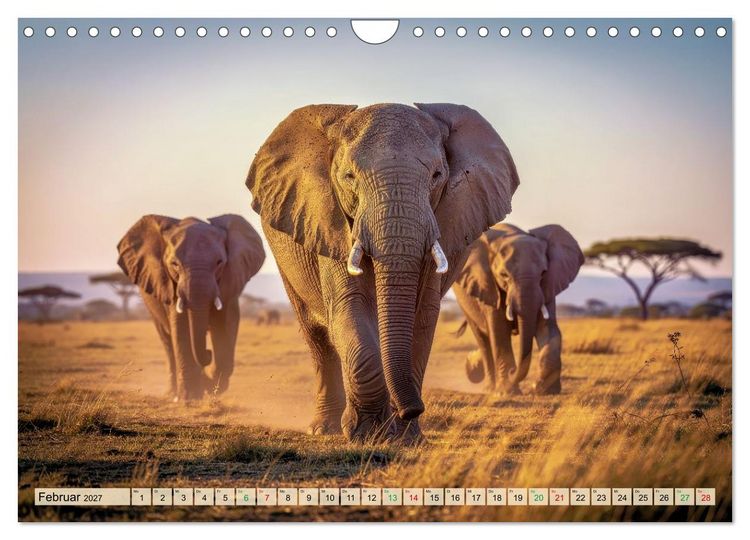 Produktbild: Die intelligentesten Tiere - Weltweit (Wandkalender 2027 DIN A4 quer), CALVENDO Monatskalender
