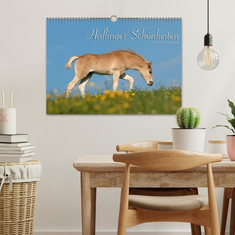 Produktbild: Haflinger Sch&ouml;nheiten (Wandkalender 2027 DIN A3 quer), CALVENDO Monatskalender