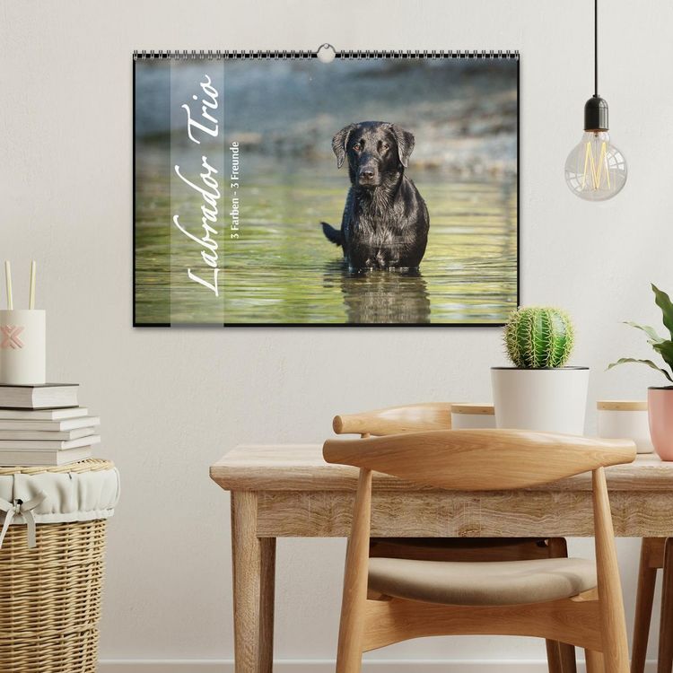 Produktbild: Labrador Trio - 3 Farben, 3 Freunde (Wandkalender 2026 DIN A3 quer), CALVENDO Monatskalender