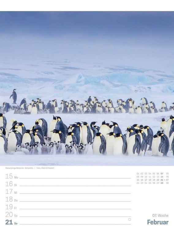Produktbild: Planet Erde Wochenplaner Kalender 2027 | Landschaften der Welt