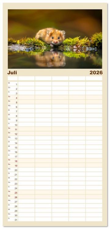 Produktbild: Familienplaner 2026 - Wild und flauschig - Hamster - Abenteuer in freier Natur mit 5 Spalten (Wandkalender, 21 x 45 cm) CALVENDO