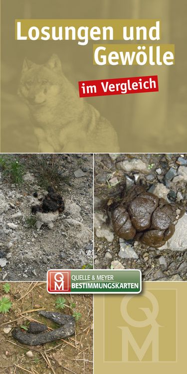 Produktbild: Losungen und Gew&ouml;lle