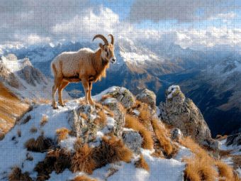 Produktbild: CALVENDO Puzzle Steinbock in den Alpen | 1000 Teile Lege-Gr&ouml;&szlig;e 64x48cm Foto-Puzzle f&uuml;r gl&uuml;ckliche Stunden
