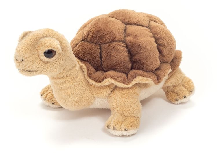 Bild vom Artikel Teddy-Hermann - Schildkröte, 20 cm vom Autor 
