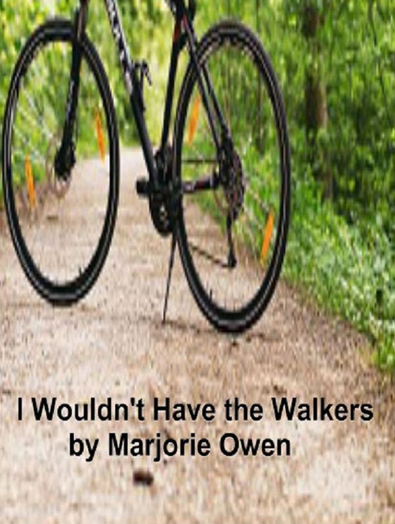 Produktbild: I Wouldn't Have the Walkers