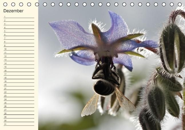 Produktbild: Geburtstagskalender "Nette Kleinigkeiten" (Tischkalender immerw&auml;hrend DIN A5 quer)