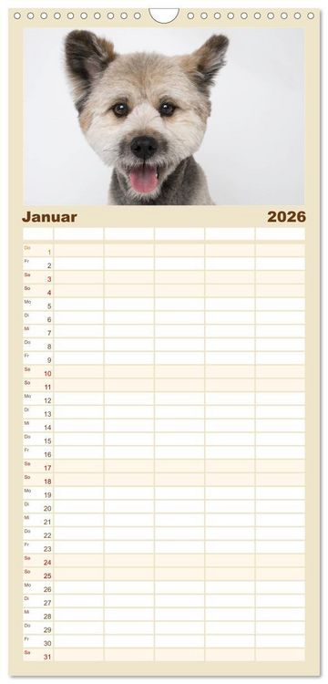 Produktbild: Familienplaner 2026 - Kleine Hunde - Gro&szlig;e Blicke mit 5 Spalten (Wandkalender, 21 x 45 cm) CALVENDO