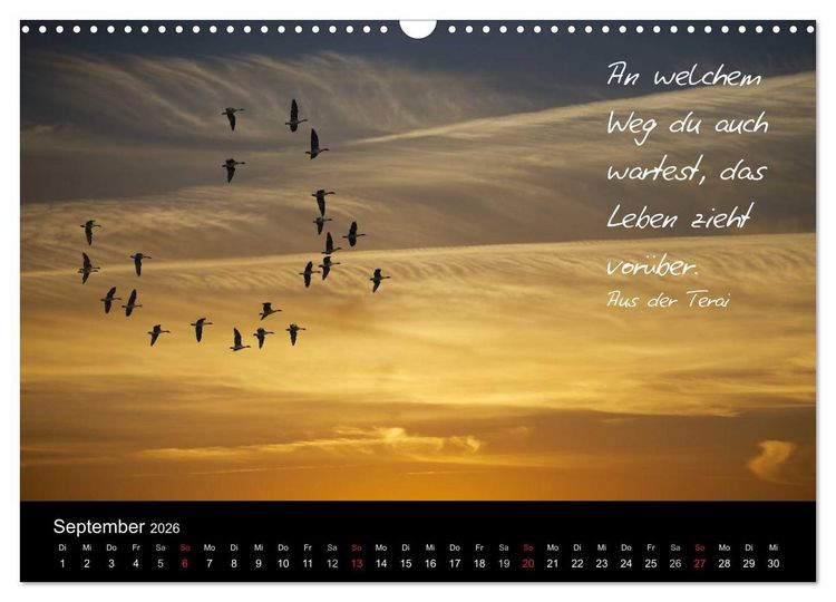 Produktbild: Poetische Wege (Wandkalender 2026 DIN A3 quer), CALVENDO Monatskalender