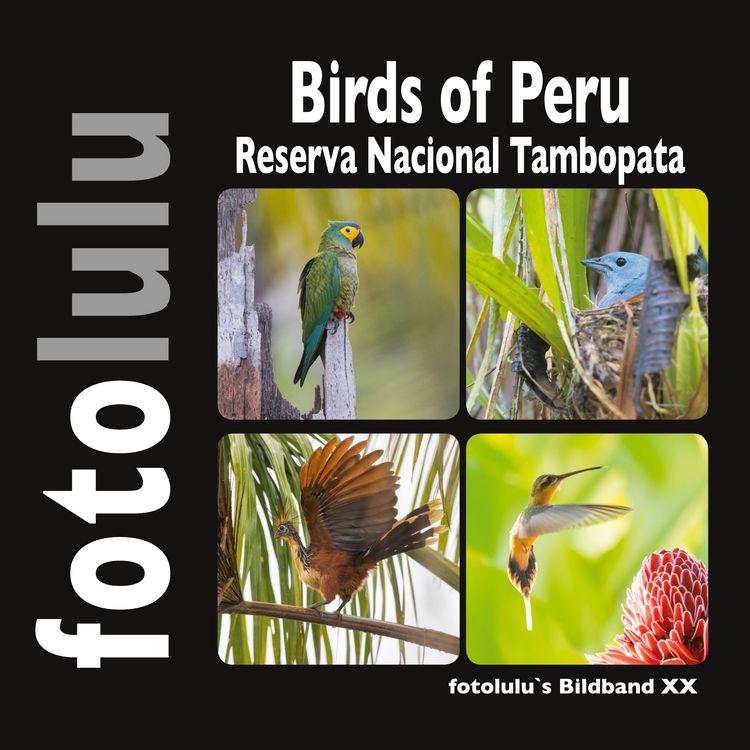 Produktbild: Birds of Peru