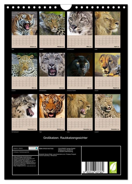 Produktbild: Gro&szlig;katzen. Raubkatzengesichter (Wandkalender 2026 DIN A4 hoch), CALVENDO Monatskalender