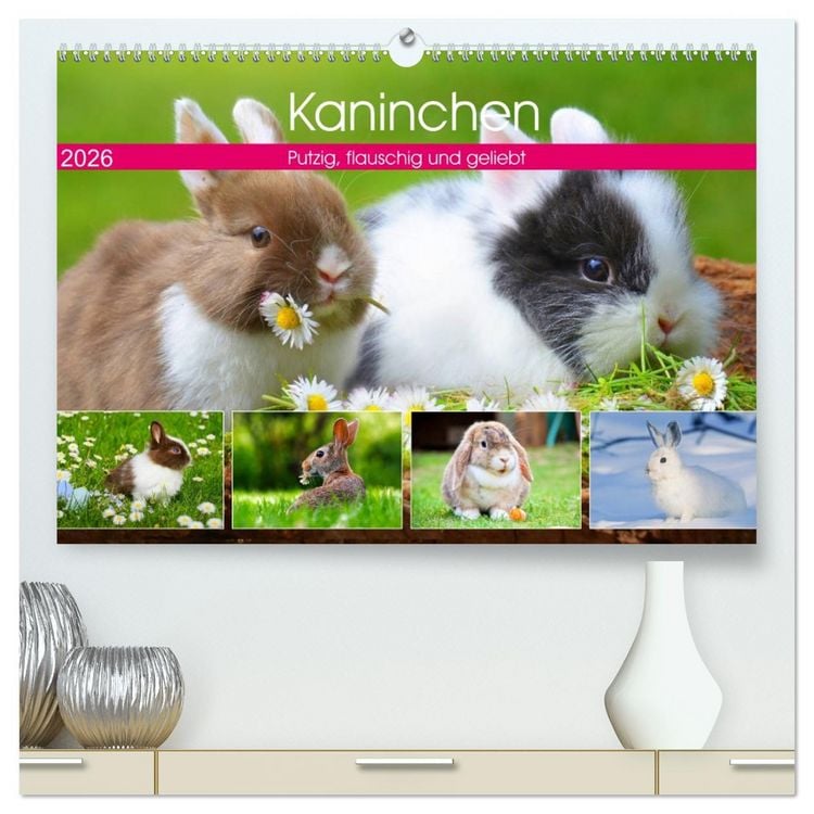 Produktbild: Kaninchen. Putzig, flauschig und geliebt (hochwertiger Premium Wandkalender 2026 DIN A2 quer), Kunstdruck in Hochglanz