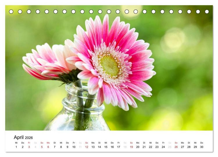 Produktbild: Mein Jahr im Landhausgarten (Tischkalender 2026 DIN A5 quer), CALVENDO Monatskalender