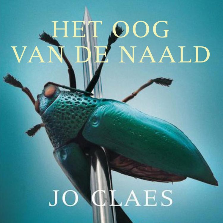 Produktbild: Het oog van de naald