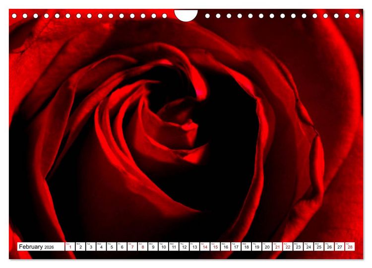 Produktbild: Fascinating colours of flowers (Wall Calendar 2026 DIN A4 landscape), CALVENDO 12 Month Wall Calendar