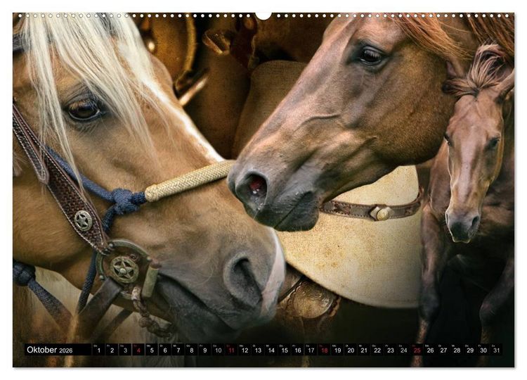 Produktbild: Western und Pferde (hochwertiger Premium Wandkalender 2026 DIN A2 quer), Kunstdruck in Hochglanz