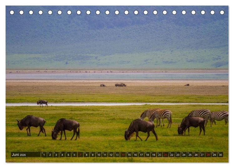 Produktbild: Abenteuer Tansania, Afrika (Tischkalender 2026 DIN A5 quer), CALVENDO Monatskalender
