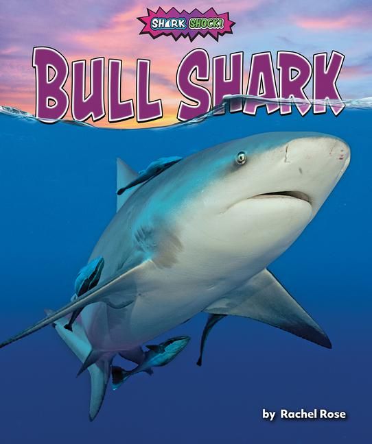 Produktbild: Bull Shark