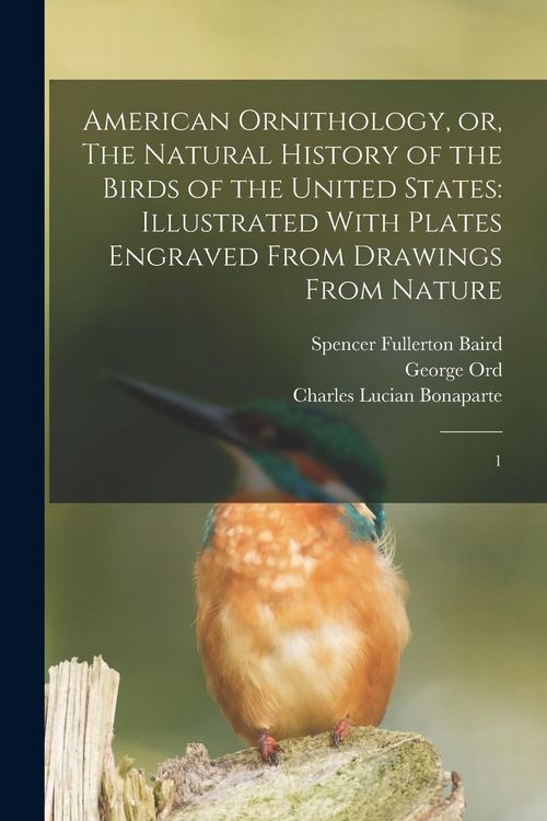 Produktbild: American Ornithology, or, The Natural History of the Birds of the United States: Illustrated With Plates Engraved From Drawings From Nature: 1