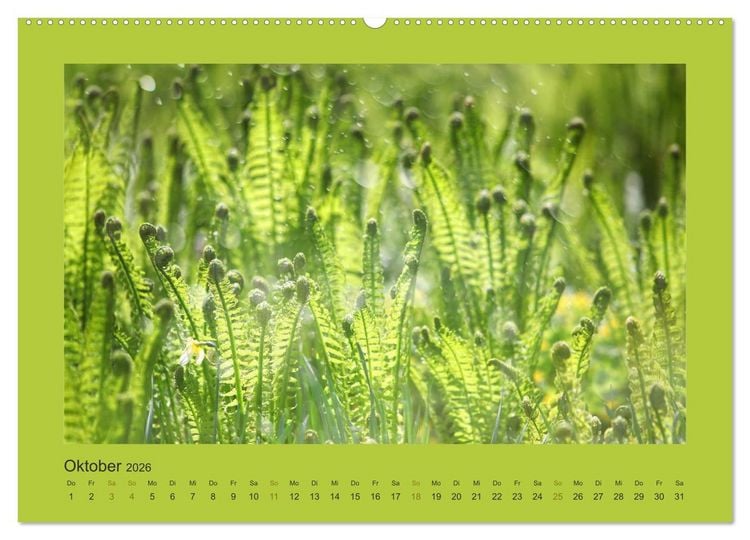 Produktbild: 12 Farben (Wandkalender 2026 DIN A2 quer), CALVENDO Monatskalender
