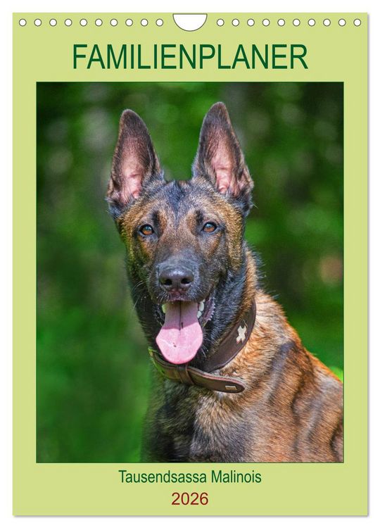 Produktbild: Familienplaner Tausendsassa Malinois (Wandkalender 2026 DIN A4 hoch), CALVENDO Monatskalender
