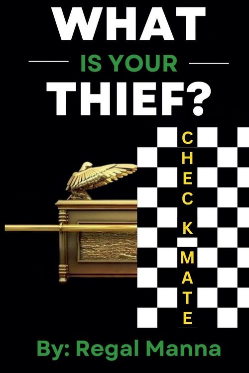 Produktbild: What Is Your Thief?