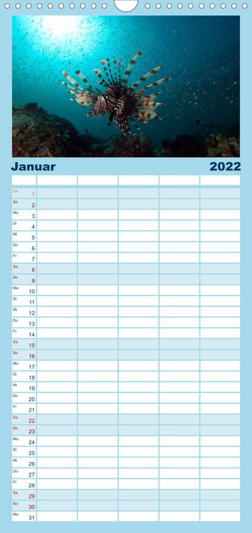 Produktbild: Tauchen, Fische und Meer - Familienplaner hoch (Wandkalender 2022 , 21 cm x 45 cm, hoch)