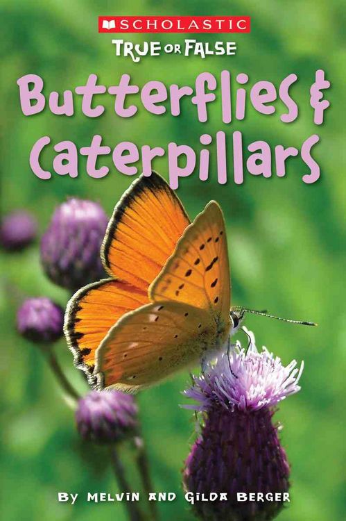 Produktbild: Butterflies and Caterpillars