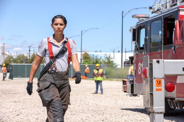 Chicago Fire - Staffel 11 [5 BRs]