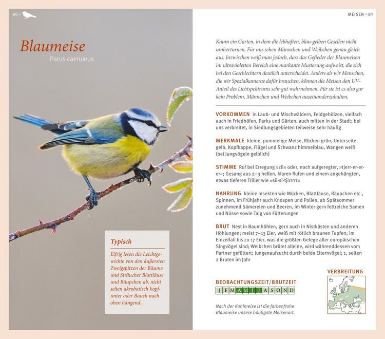 Produktbild: Gartenv&ouml;gel