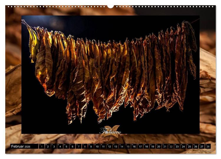 Produktbild: Tobacco - Genuss und Flair der Tabakkultur (Wandkalender 2026 DIN A2 quer), CALVENDO Monatskalender