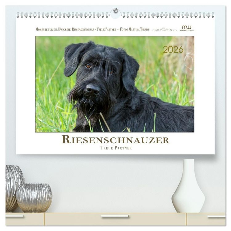 Produktbild: Riesenschnauzer - Treue Partner (hochwertiger Premium Wandkalender 2026 DIN A2 quer), Kunstdruck in Hochglanz