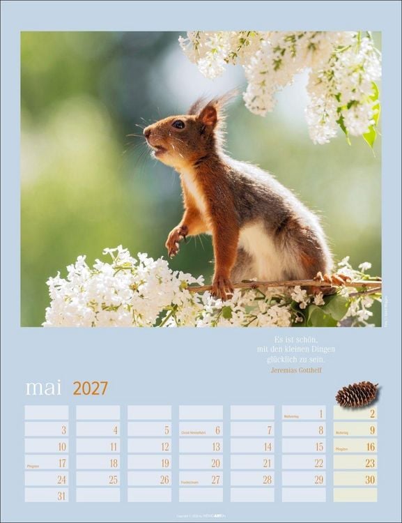Produktbild: Eichh&ouml;rnchen Kalender 2027