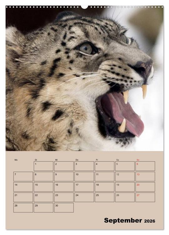 Produktbild: Gro&szlig;katzen. Raubkatzengesichter (hochwertiger Premium Wandkalender 2026 DIN A2 hoch), Kunstdruck in Hochglanz